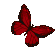 ButterflyRed