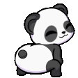 pandadance