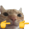 catfingerguns