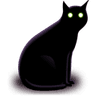 blackcat2