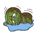 ChoraProAmumu