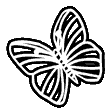 butterfly