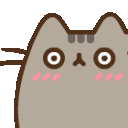 pusheen_embarrased
