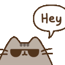 pusheen_hey