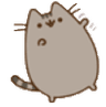 wave_pusheen