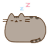 sleepy_pusheen