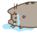 sad_pusheen
