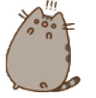 shock_pusheen