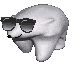 Coolbear
