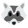 raccoon