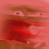 waaa