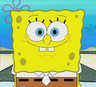 sponge