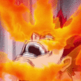EndeSHOUTO