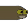 Wut3