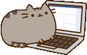 catlaptop