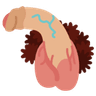FTGPuncutwhitecock