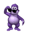 bonzibuddy