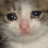 sadpussy