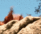 6444_CrabRavefixed