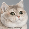 heavybreathing