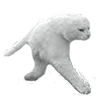 CatRun