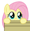 FlutterPeek