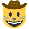 CatCowboy