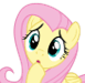 FlutterConfused