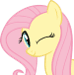 FlutterWink