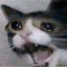 AAA