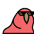 birbrave