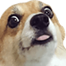 p_