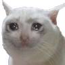 __