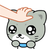 kittypat