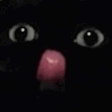 michi