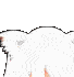 neko_peek2