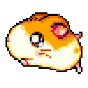 Run