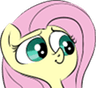 flutterwhut