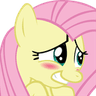 flutterBlush