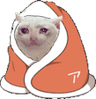 FTGPcatcosy