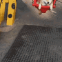 FTGPdogswing