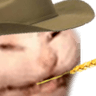FTGPcatwestern