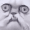 FTGPcatwhathaveiseen