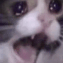 aaaaaaa