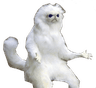 dude