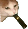 Sup