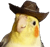 birbcowboy