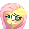 shyFlutters