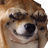 hidingboyo