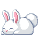 bunny